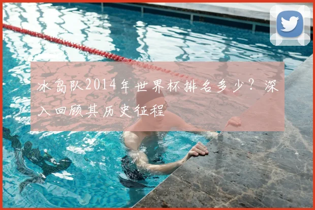 冰岛队2014年世界杯排名多少？深入回顾其历史征程