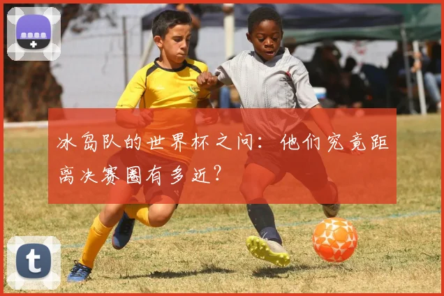 冰岛队的世界杯之问：他们究竟距离决赛圈有多近？