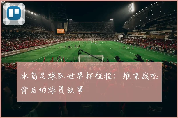 冰岛足球队世界杯征程：维京战吼背后的球员故事