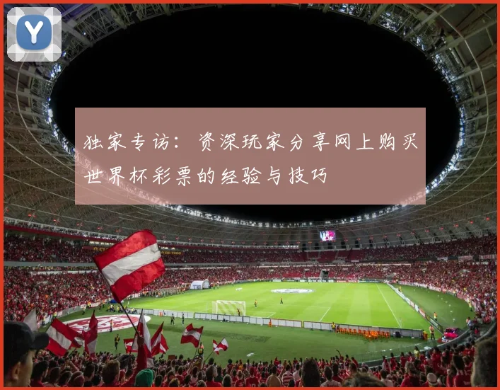 独家专访：资深玩家分享网上购买世界杯彩票的经验与技巧